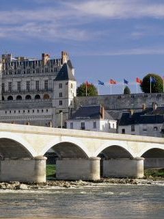 Chateau d'Amboise and Bridge, Loire Valley, France.jpg